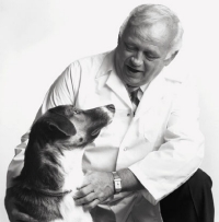 Is Natural Dog Food Better?