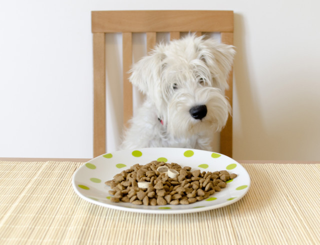 Dog Feeding Guidelines